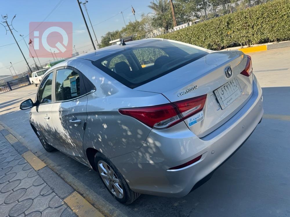 شانجان السفن